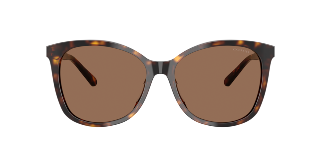 Coach 0HC8232 Sunglasses in Tortoise | Target Optical