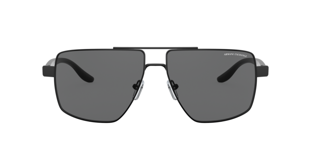 Armani Exchange 0AX2034S Sunglasses in Blue | Target Optical