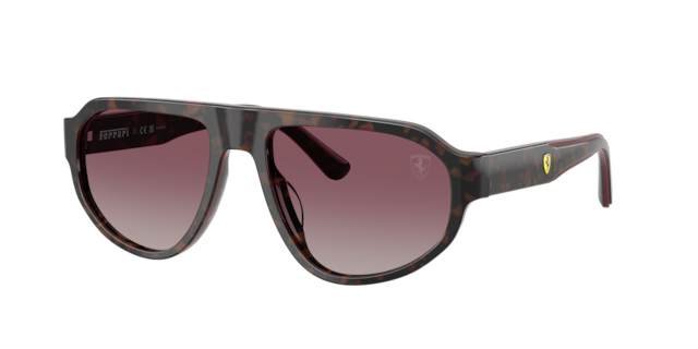 Scuderia Ferrari 0FZ6012U Sunglasses in Black | Target Optical