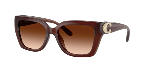 Coach 0HC8116 Sunglasses in Tortoise | Target Optical