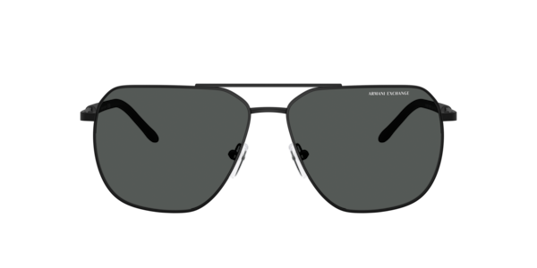 Armani Exchange 0AX2037S Sunglasses in Black | Target Optical