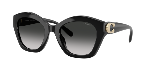 Coach 0HC8116 Sunglasses in Tortoise | Target Optical