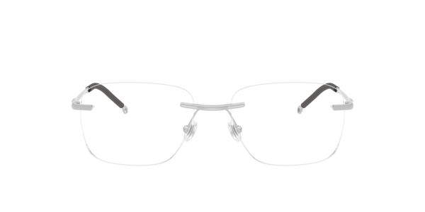 Diesel Diesel Glasses in Silver/Gunmetal/Grey | Target Optical