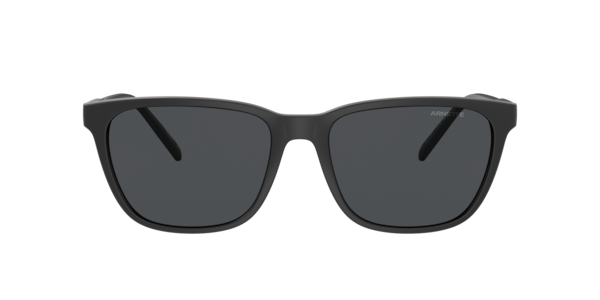 Arnette 0AN4302 Sunglasses in Black | Target Optical
