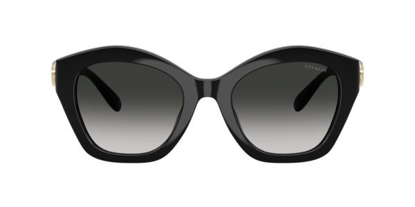 Coach 0HC8116 Sunglasses in Tortoise | Target Optical