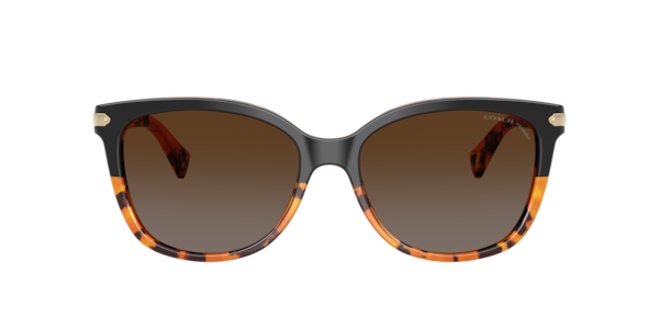 Coach 0HC8132 Sunglasses in Tortoise | Target Optical