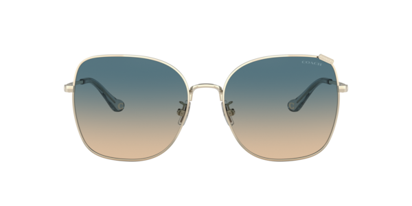 Coach 0HC8271U Sunglasses in Tortoise | Target Optical display picture 2
