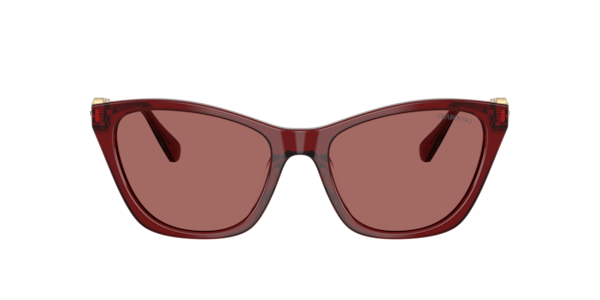 Swarovski Swarovski Sunglasses in Black | Target Optical