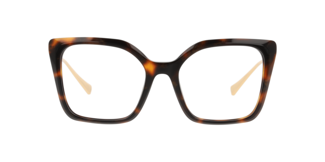 Unofficial 0UO2160 Glasses in Tortoise | Target Optical