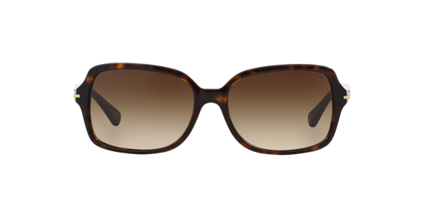 Coach Coach Sunglasses in Black | Target Optical