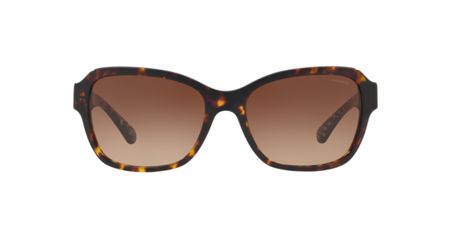 Coach 0HC7059 Sunglasses in Gold | Target Optical