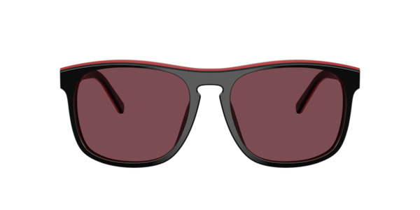 Scuderia Ferrari 0FZ6012U Sunglasses in Black | Target Optical
