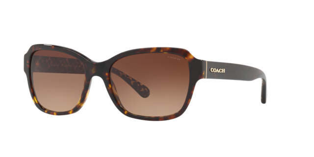 Coach 0HC8116 Sunglasses in Tortoise | Target Optical