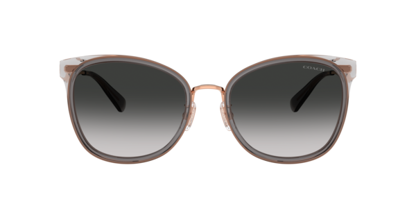 Coach 0HC8323U Sunglasses in Black | Target Optical