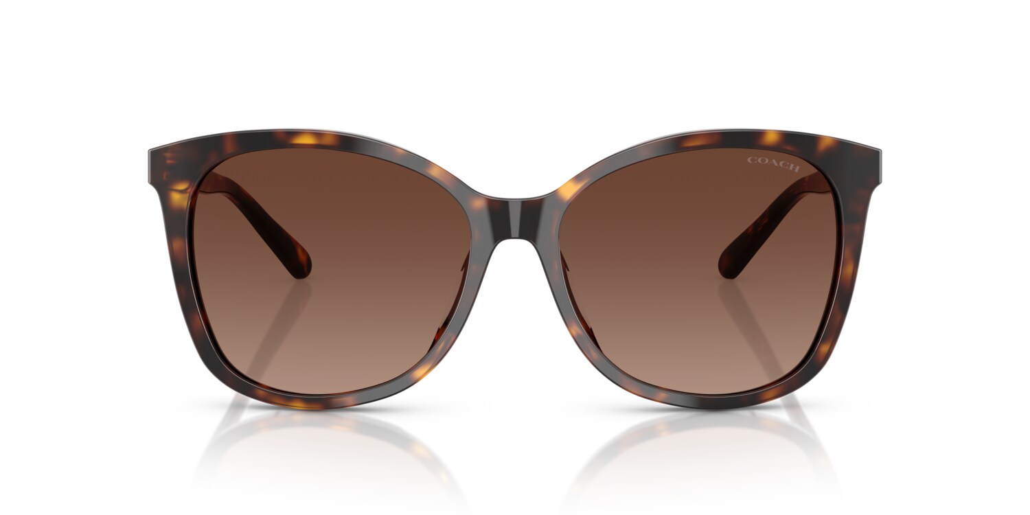 Coach Black Frame with Brown Lenses Sunglasses HC8426U CAD81 Sunglasses - Coach Authorized Retailer  main image 2