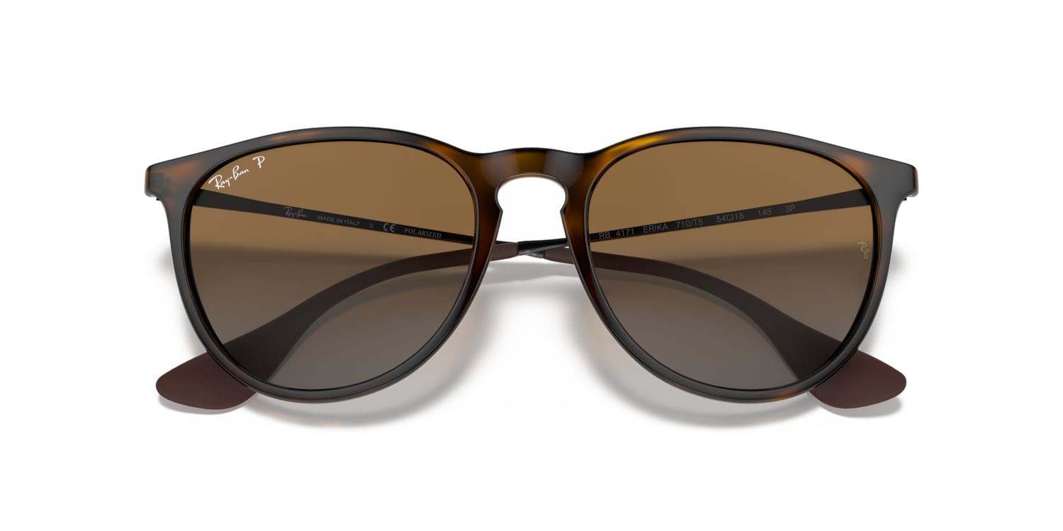 Ray-Ban Ray-Ban Sunglasses in Tortoise | Target Optical