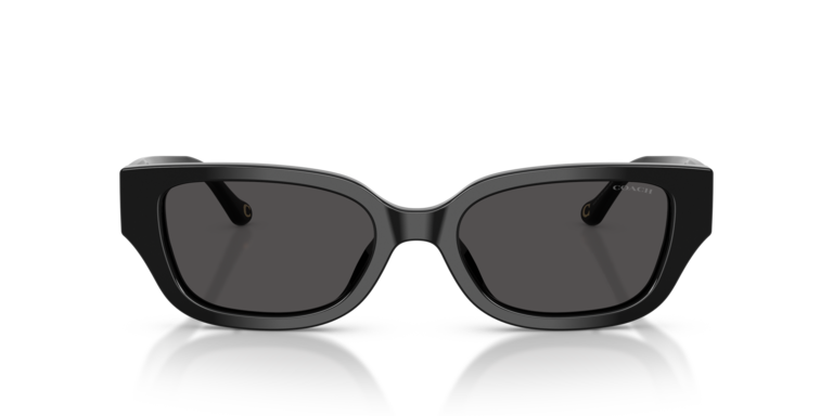 Coach 0HC8439U Sunglasses in Black | Target Optical display picture 1