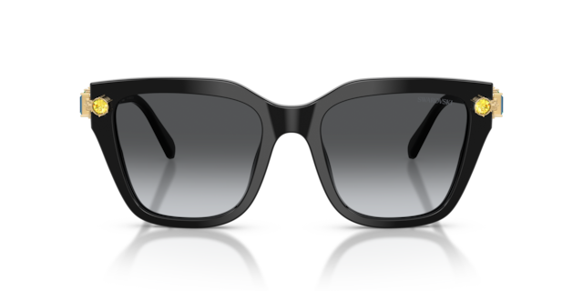 0SK6041__1001T3__P21__shad__fr