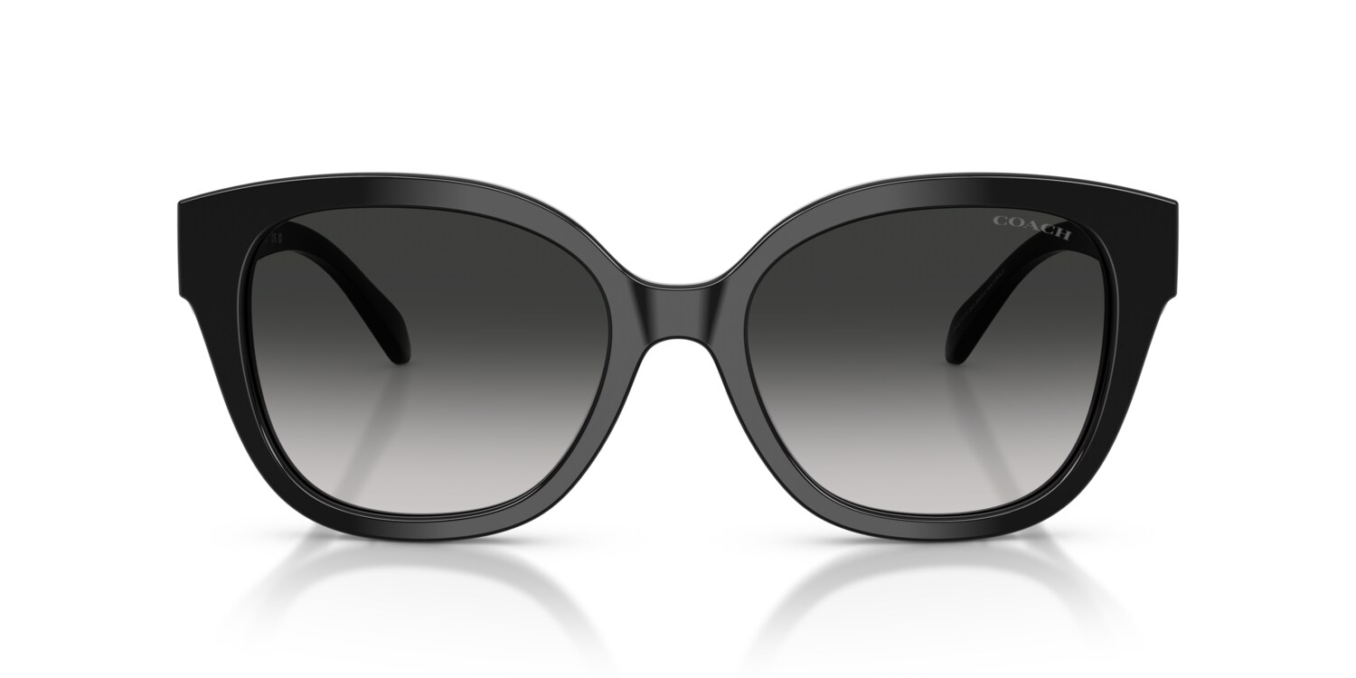 Coach 0HC8438U Sunglasses in Black | Target Optical display picture 2