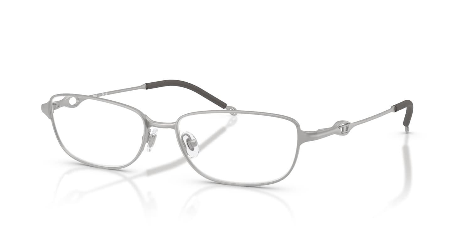 【DIESEL】送料/関税込 0DL2002 GLASSES Diesel Diesel Glasses in Silver/Gunmetal/Grey | Target Optical