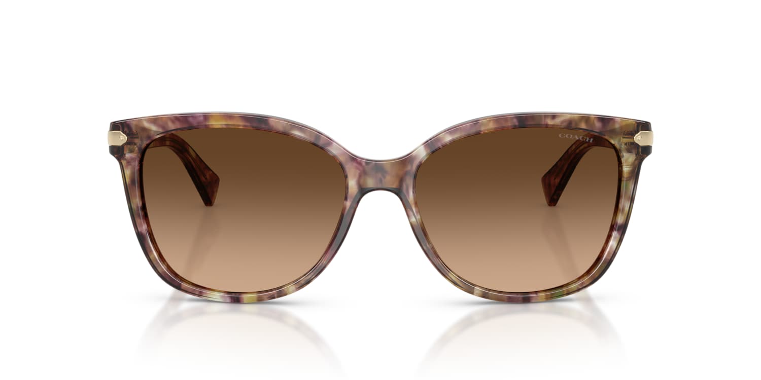 Coach 0HC8132 Sunglasses in Tortoise | Target Optical Coach 0HC8132 Sunglasses in Tortoise | Target Optical