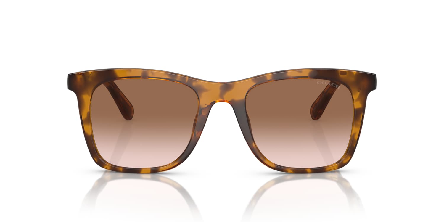 小物 174.COACH SUNGLASSES DARK OLIVE Coach 0HC8374U Sunglasses in Tortoise | Target Optical