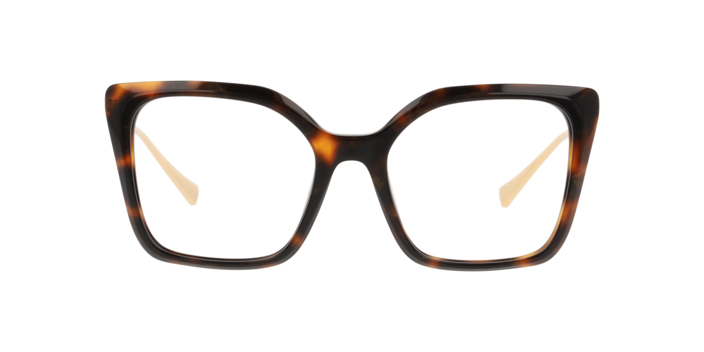 Unofficial 0UO2182 Glasses in Tortoise | Target Optical