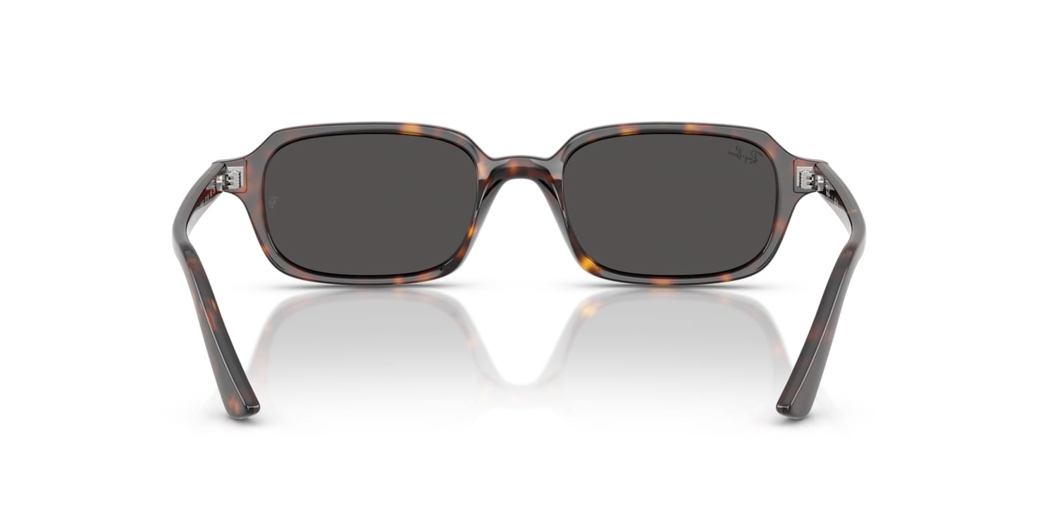 Ray-Ban Ray-Ban Sunglasses in Tortoise | Target Optical