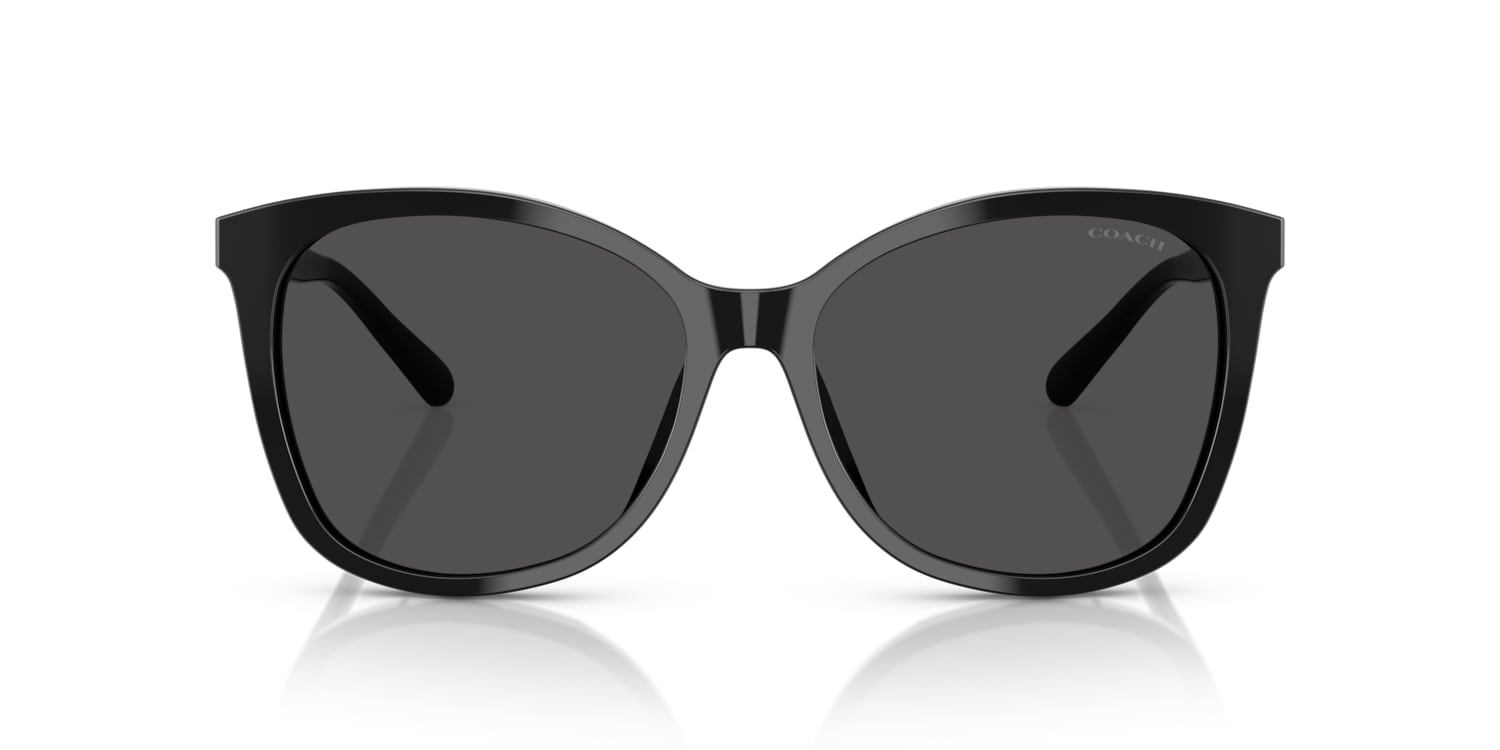 Coach 0HC8271U Sunglasses in Black | Target Optical