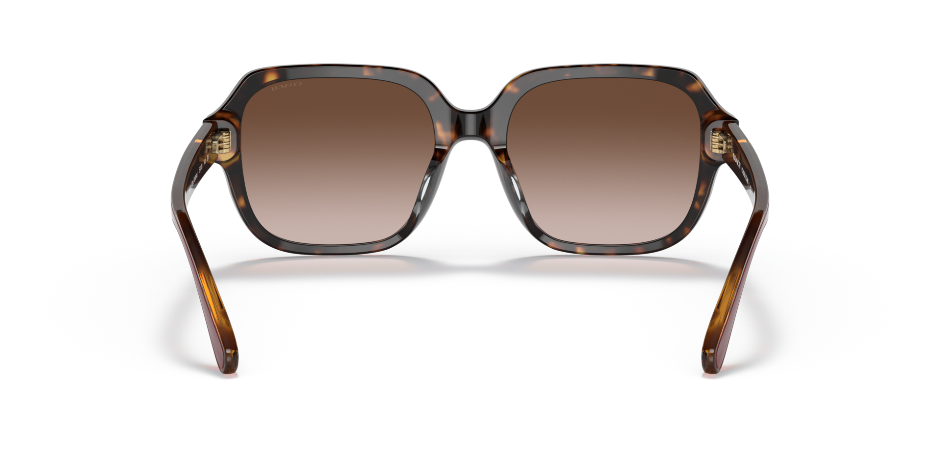 Coach 0HC8335U Sunglasses in Tortoise | Target Optical display picture 2