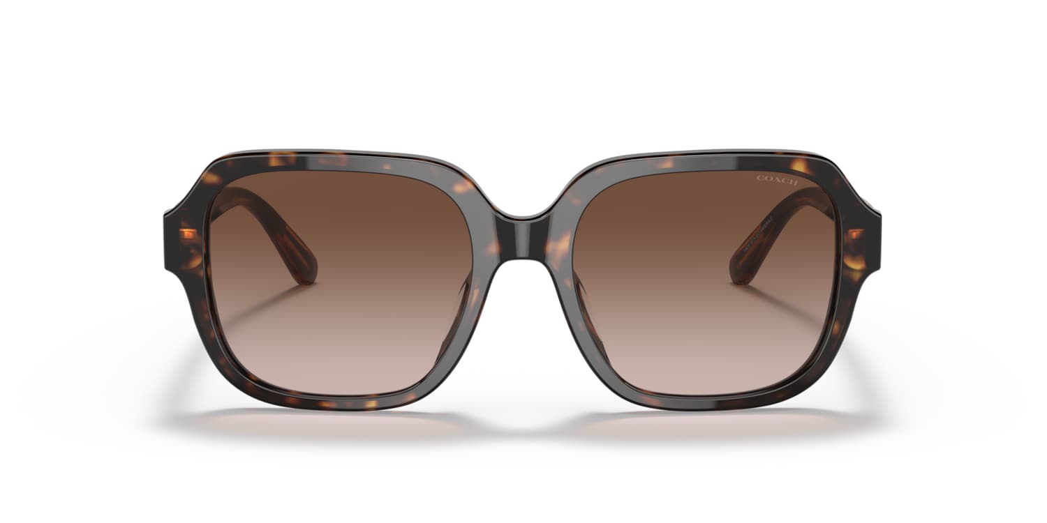 チュオン Coach 0HC8335U Sunglasses in Tortoise | Target Optical
