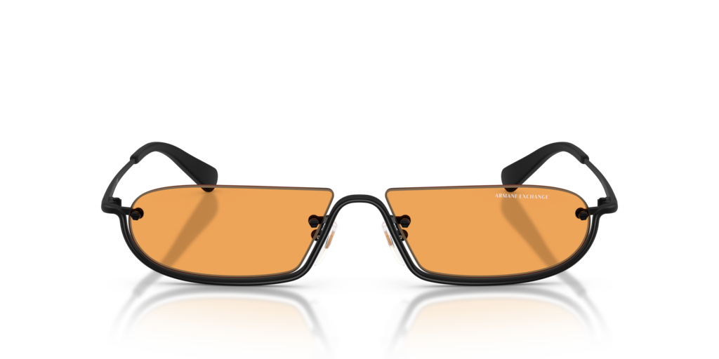 Ray-Ban & Armani Exchange サングラス 0AX2058S__6000_7__P21__shad__f