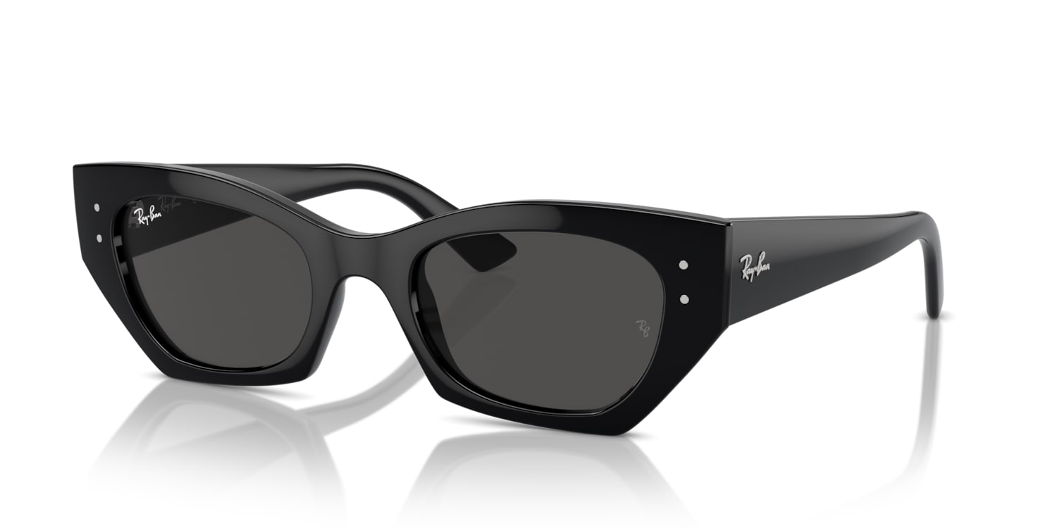 Ray-Ban Ray-Ban Sunglasses in Black | Target Optical