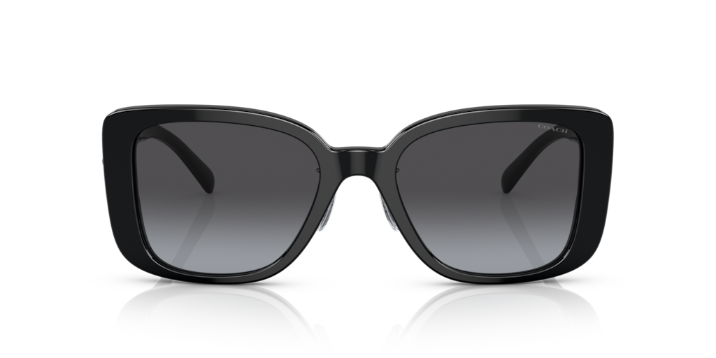 UPC 725125387255 product image for Coach Eyewear > Sunglasses > Woman > Virtual_try_on > Bundles > Bundles_199 > Co | upcitemdb.com