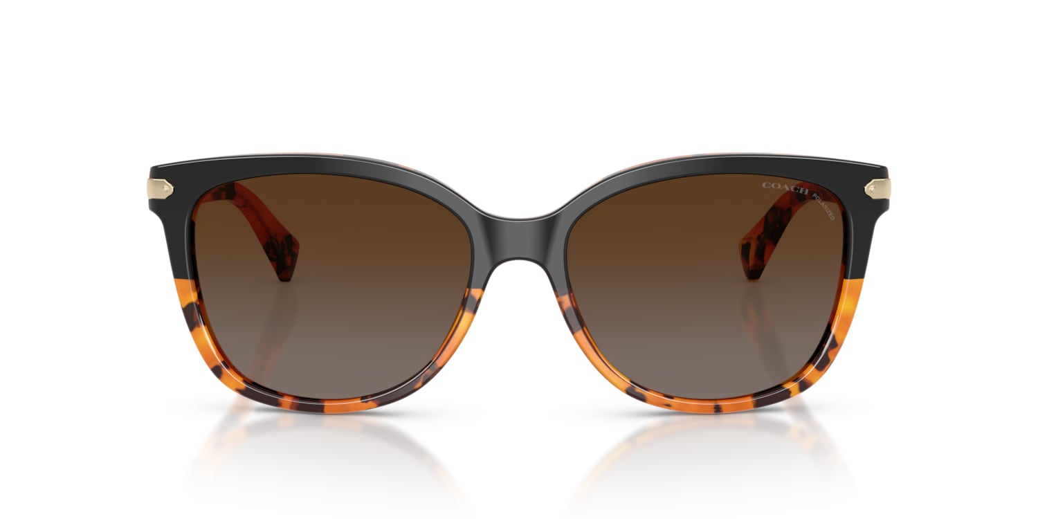 Coach 0HC8132 Sunglasses in Black | Target Optical