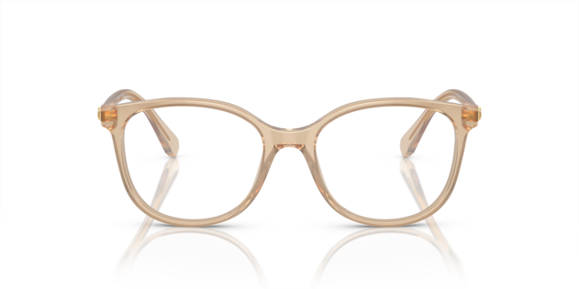 0SK2002__1034__P21__shad__fr.