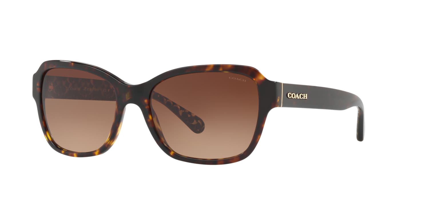 Coach 0HC8232 Sunglasses in Tortoise | Target Optical