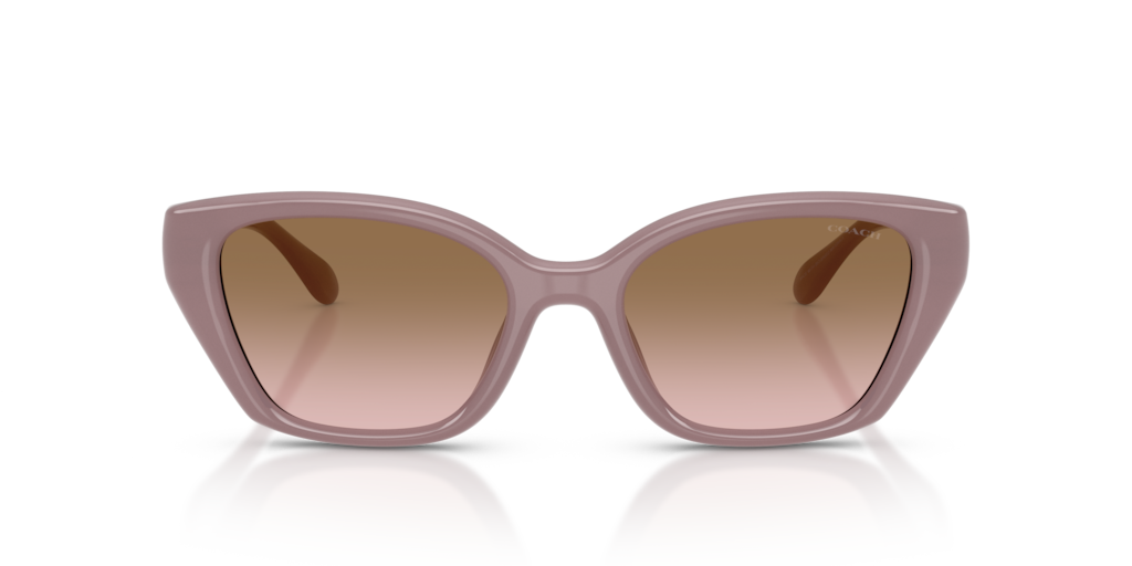 サングラス Chloe PRADA COACH Coach HC8443D CBY84 M (54 - 17) with Brown lenses and Brown frame