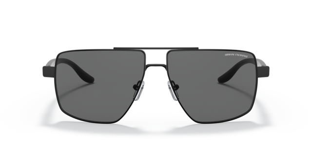 Armani Exchange 0AX2037S Sunglasses in Black | Target Optical