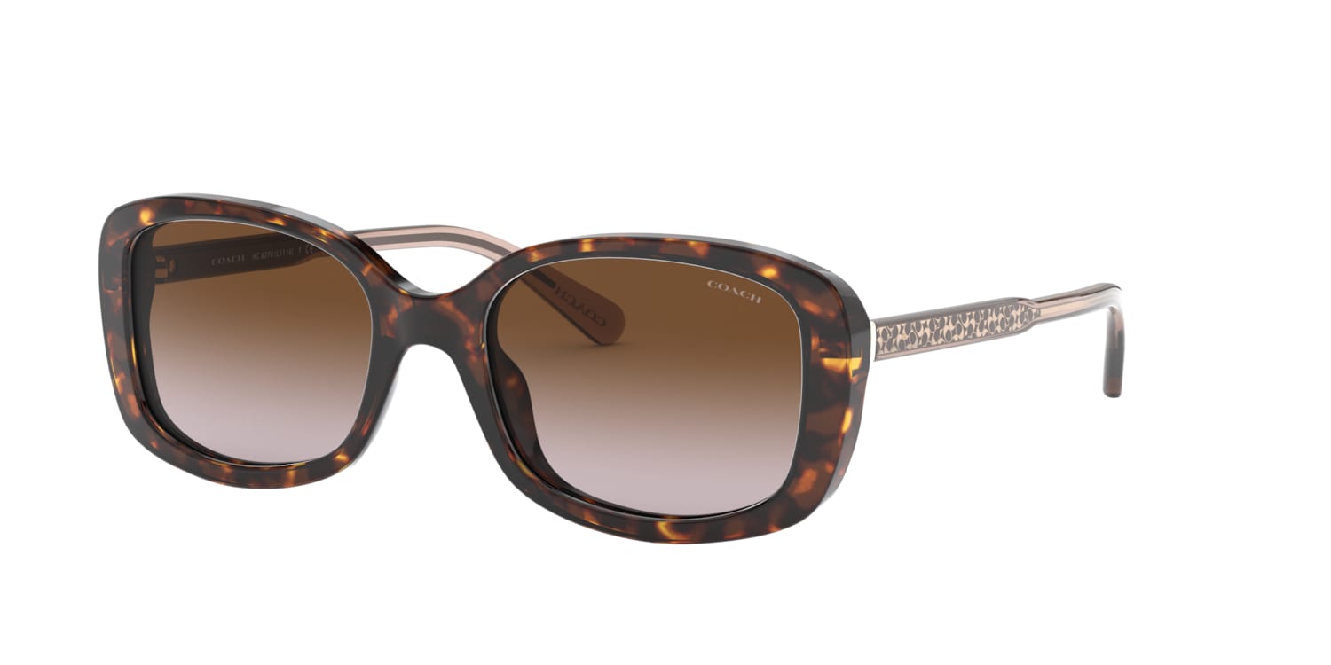 Coach 0HC8278 Sunglasses in Tortoise | Target Optical