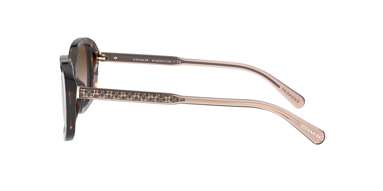 Coach 0HC8278 Sunglasses in Tortoise | Target Optical display picture 2
