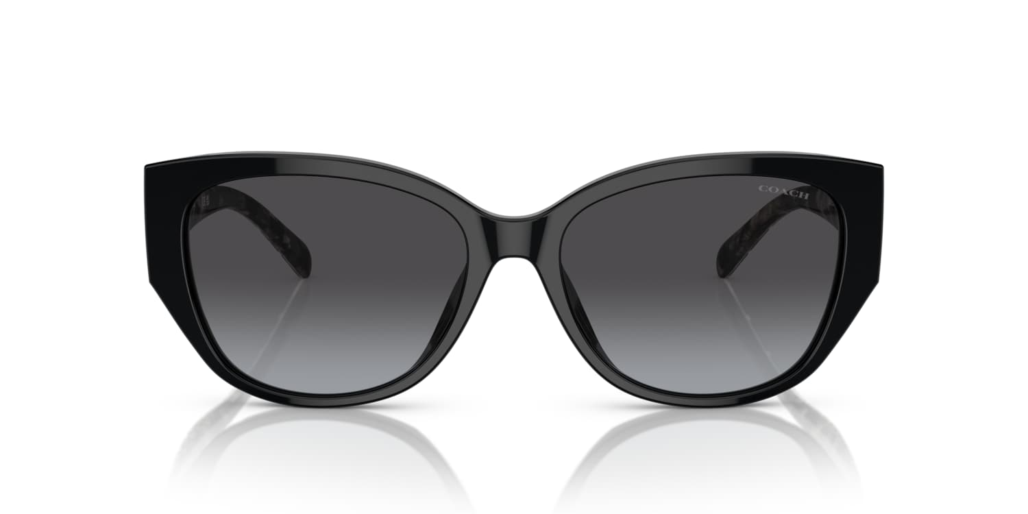 Coach Coach Sunglasses in Black | Target Optical