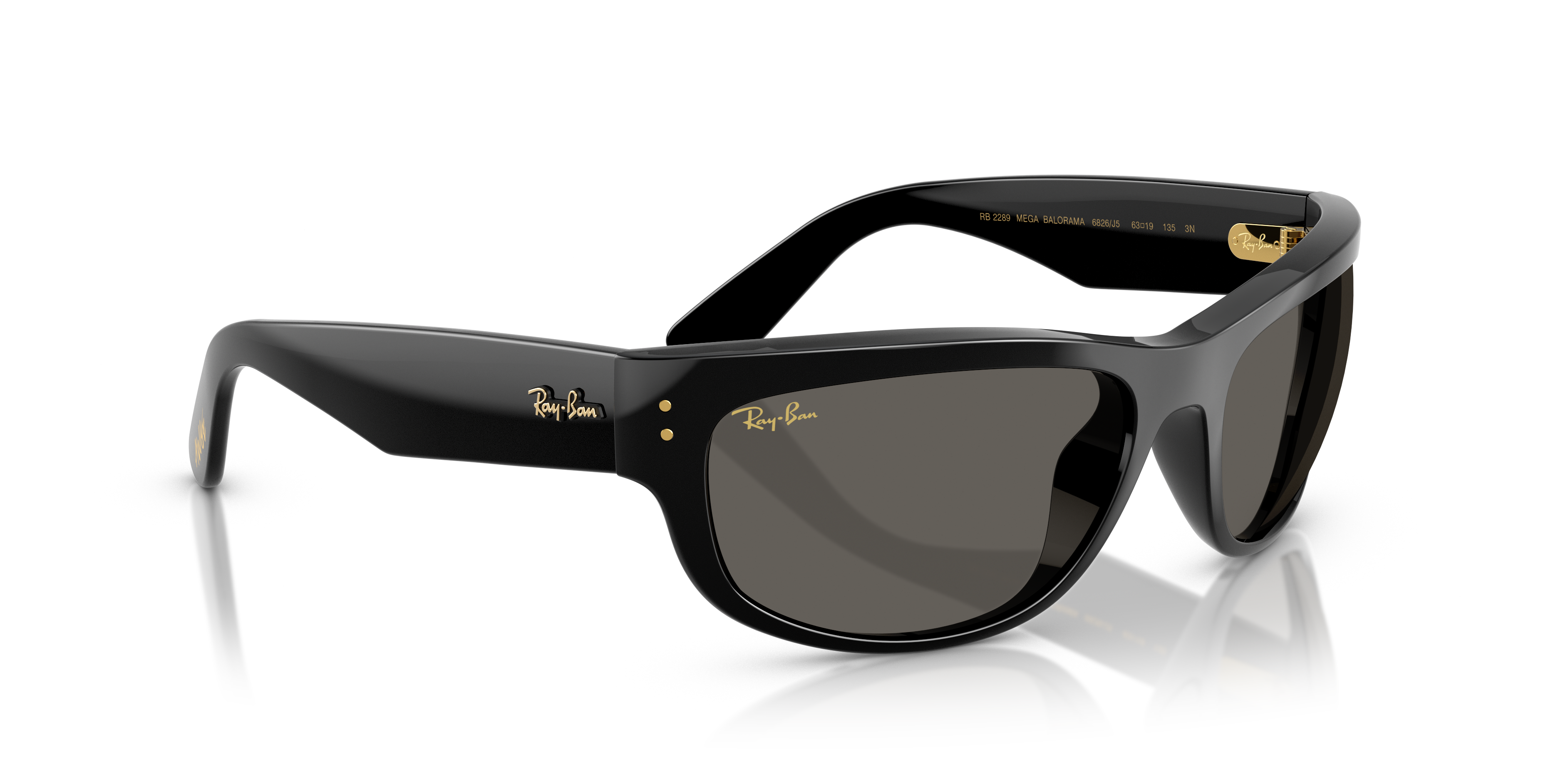 Ray-Ban Ray-Ban Sunglasses in Black | Target Optical