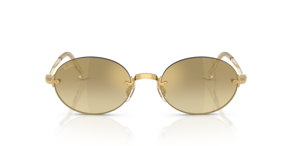 Ray-Ban Ray-Ban Sunglasses in Gold | Target Optical