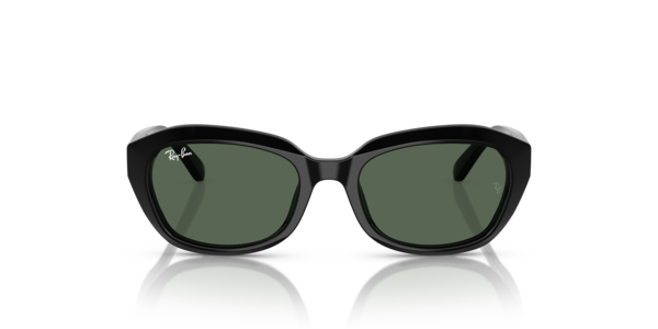 Ray-Ban 0RJ9081S Sunglasses in Black | Target Optical