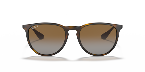 Ray-Ban 0RB4171 Sunglasses in Black | Target Optical