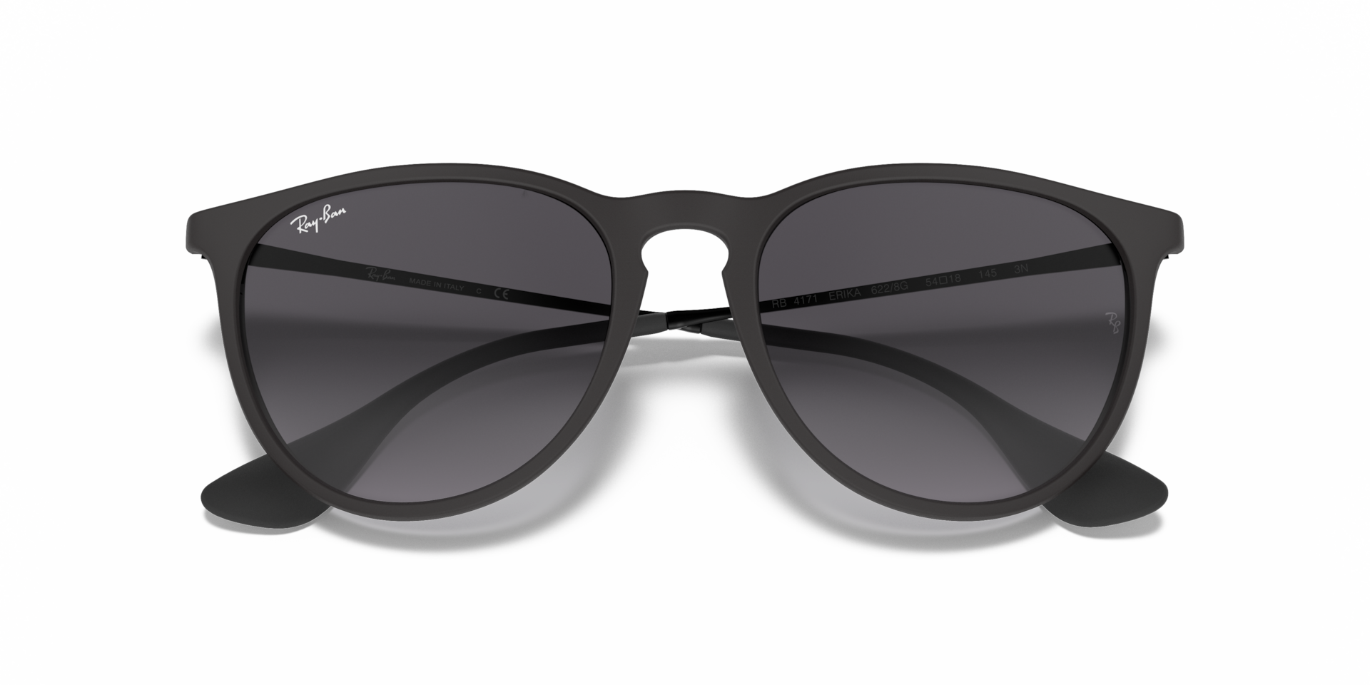 Ray-Ban Ray-Ban Sunglasses in Black | Target Optical