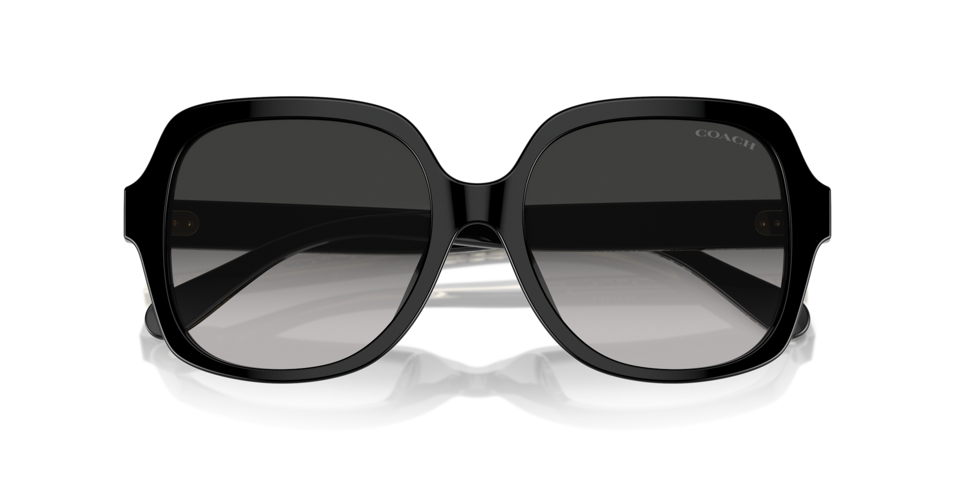 Coach Coach Sunglasses in Black | Target Optical