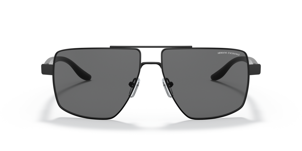 Armani Exchange 0AX2037S Sunglasses in Black | Target Optical