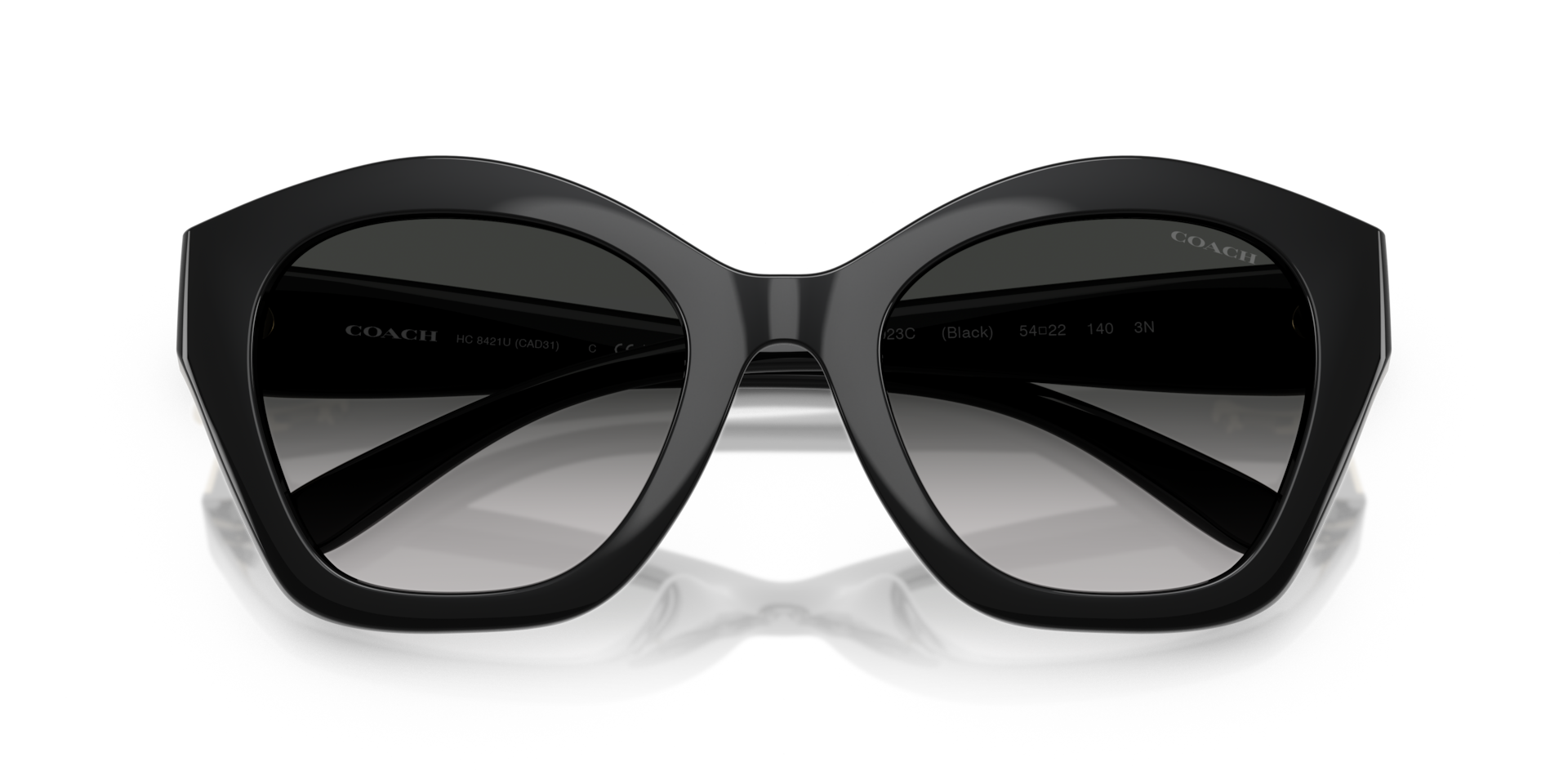 Coach Coach Sunglasses in Black | Target Optical